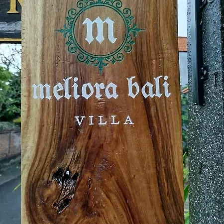 Meliora Bali Villa Ubud  Exterior photo